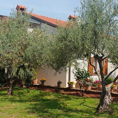 אומאג Apartment Analaura מראה חיצוני תמונה
