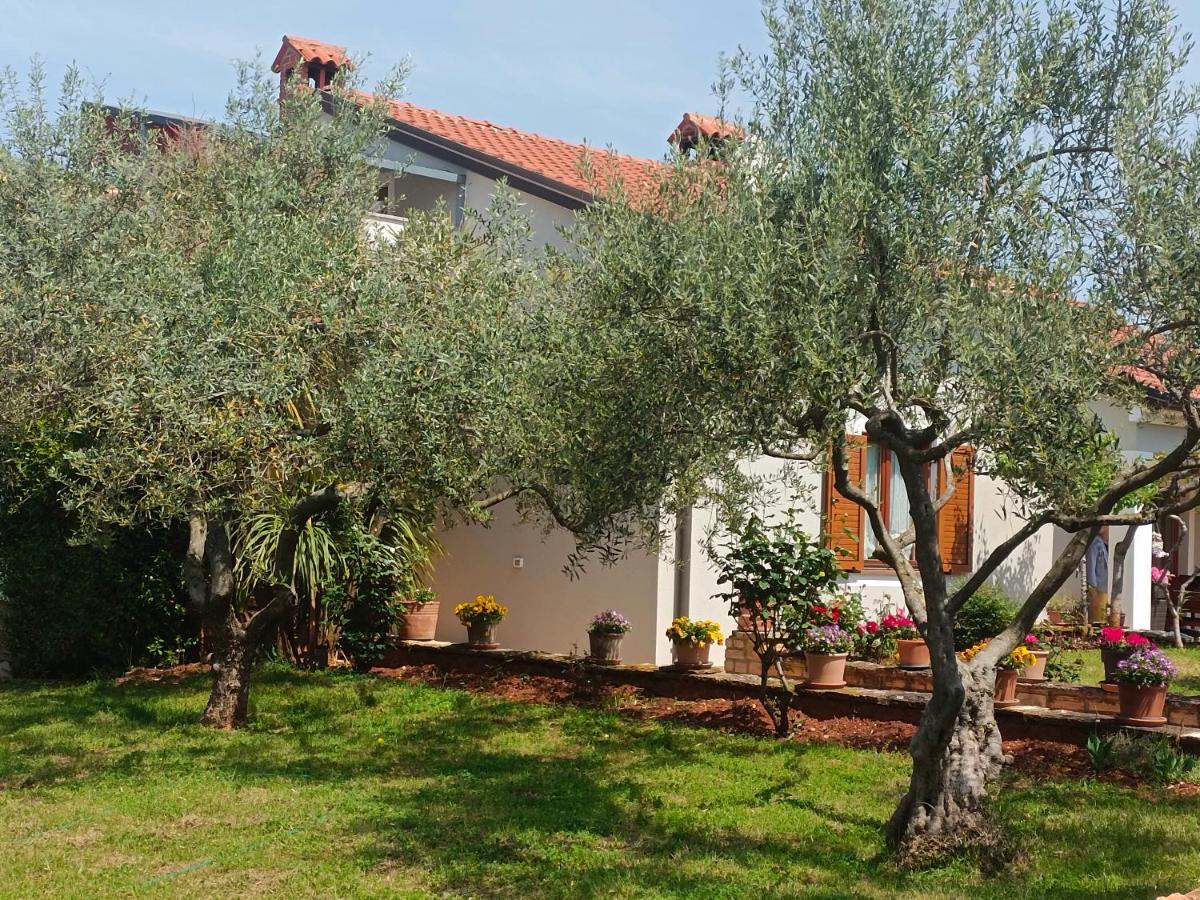 אומאג Apartment Analaura מראה חיצוני תמונה